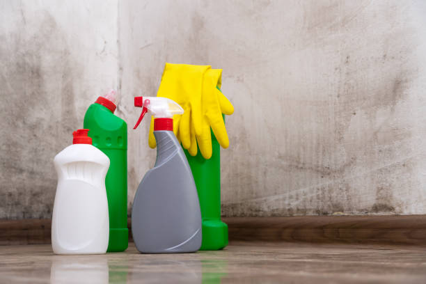 Best Mold Odor Removal Services  in Middletown, VA